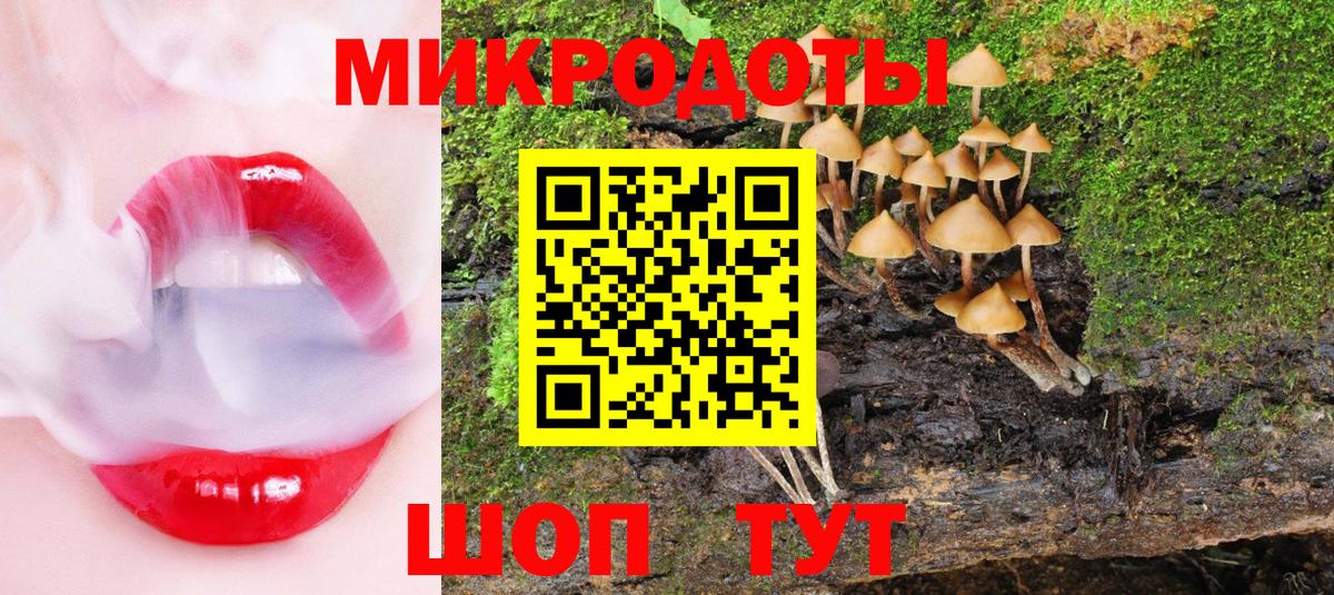 Псилоцибиновые грибы Psilocybe Партизанск