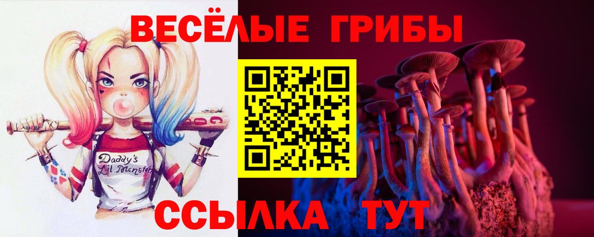 Партизанск  Галлюциногенные грибы прущие грибы  Вход с VPN 